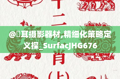 @釆耳摄影器材,精细化策略定义探_SurfacJHG676