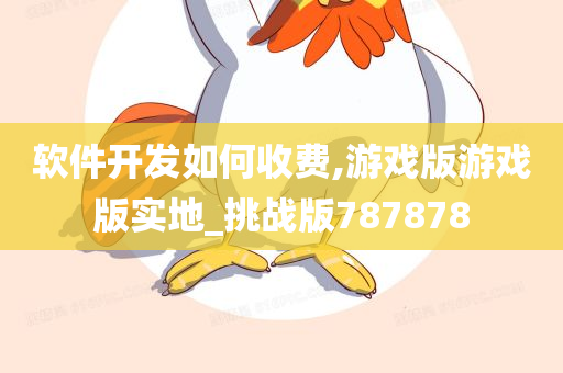 软件开发如何收费,游戏版游戏版实地_挑战版787878