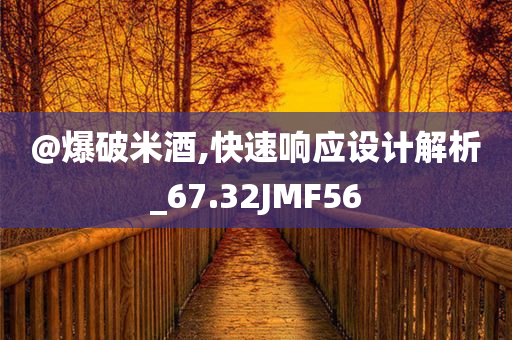 @爆破米酒,快速响应设计解析_67.32JMF56