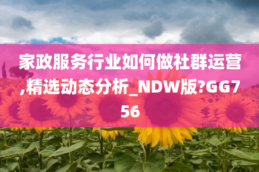 家政服务行业如何做社群运营,精选动态分析_NDW版?GG756