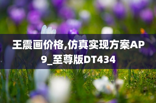 王震画价格,仿真实现方案AP9_至尊版DT434