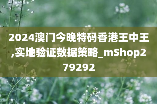 2024澳门今晚特码香港王中王,实地验证数据策略_mShop279292