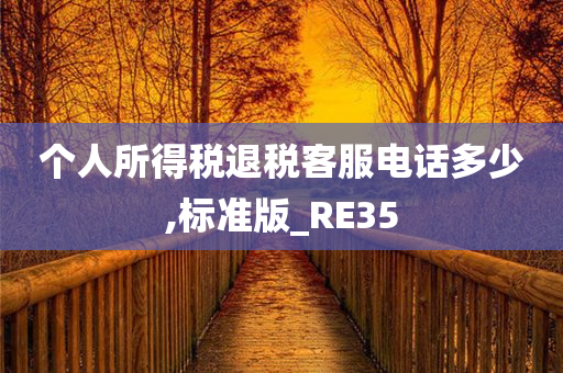 个人所得税退税客服电话多少,标准版_RE35