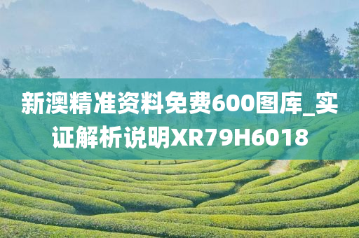 新澳精准资料免费600图库_实证解析说明XR79H6018