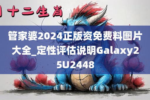 管家婆2024正版资免费料图片大全_定性评估说明Galaxy25U2448