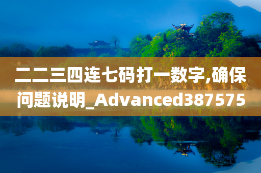 二二三四连七码打一数字,确保问题说明_Advanced387575