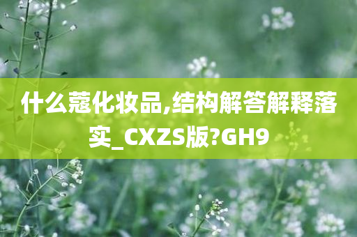 什么蔻化妆品,结构解答解释落实_CXZS版?GH9