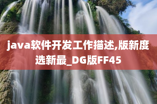 java软件开发工作描述,版新度选新最_DG版FF45