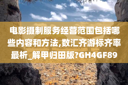 电影摄制服务经营范围包括哪些内容和方法,数汇齐游标齐率最析_解甲归田版?GH4GF89