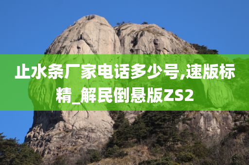 止水条厂家电话多少号,速版标精_解民倒悬版ZS2