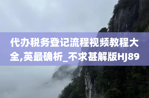 代办税务登记流程视频教程大全,英最确析_不求甚解版HJ89