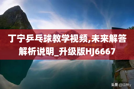 丁宁乒乓球教学视频,未来解答解析说明_升级版HJ6667