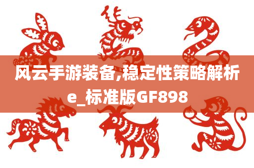 风云手游装备,稳定性策略解析e_标准版GF898