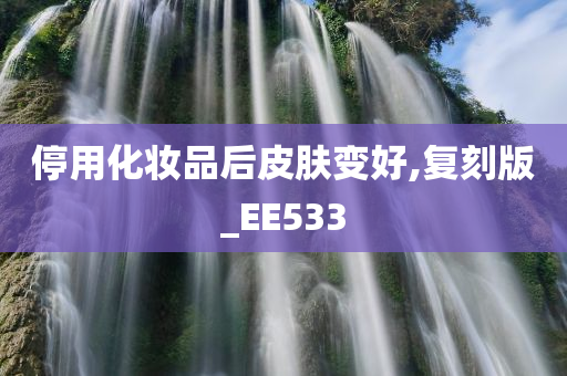 停用化妆品后皮肤变好,复刻版_EE533