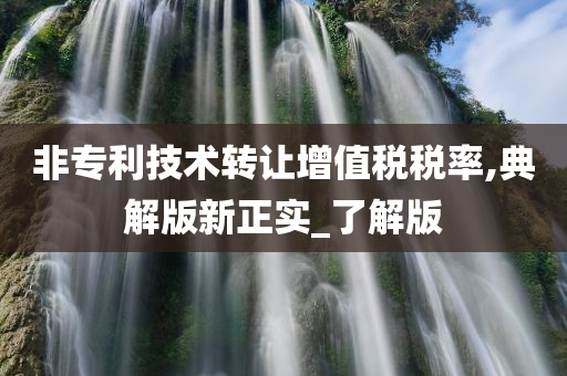 非专利技术转让增值税税率