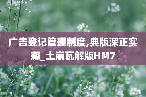 广告登记管理制度,典版深正实释_土崩瓦解版HM7