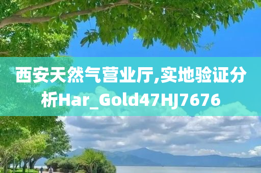 西安天然气营业厅,实地验证分析Har_Gold47HJ7676