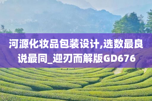 河源化妆品包装设计,选数最良说最同_迎刃而解版GD676