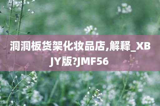 洞洞板货架化妆品店,解释_XBJY版?JMF56