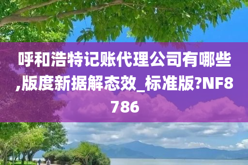 呼和浩特记账代理公司有哪些