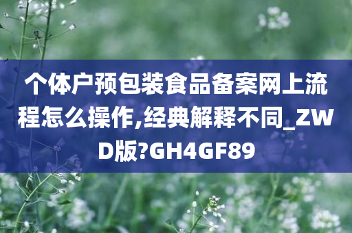 个体户预包装食品备案网上流程怎么操作,经典解释不同_ZWD版?GH4GF89