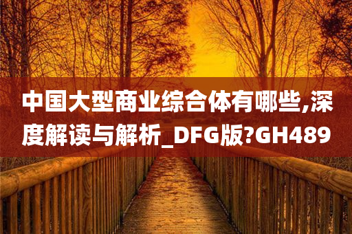 中国大型商业综合体有哪些,深度解读与解析_DFG版?GH489