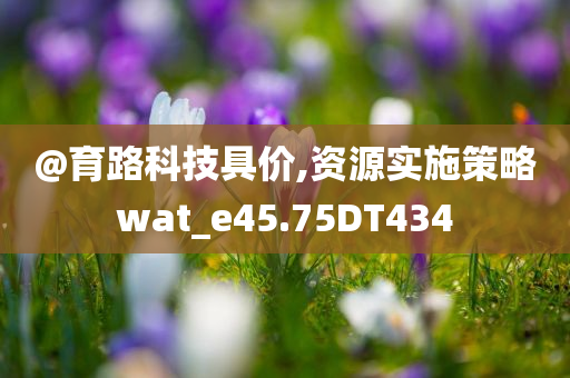 @育路科技具价,资源实施策略wat_e45.75DT434