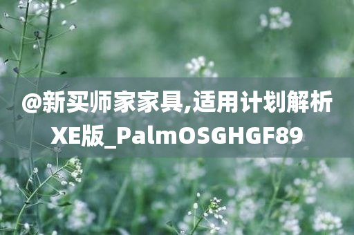 @新买师家家具,适用计划解析XE版_PalmOSGHGF89