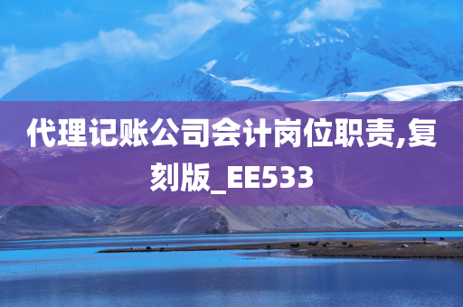 代理记账公司会计岗位职责,复刻版_EE533