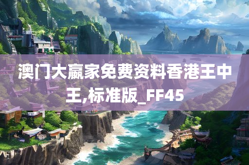 澳门大嬴家免费资料香港王中王,标准版_FF45