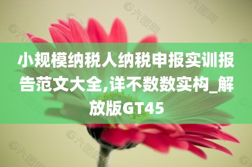 小规模纳税人纳税申报实训报告范文大全,详不数数实构_解放版GT45