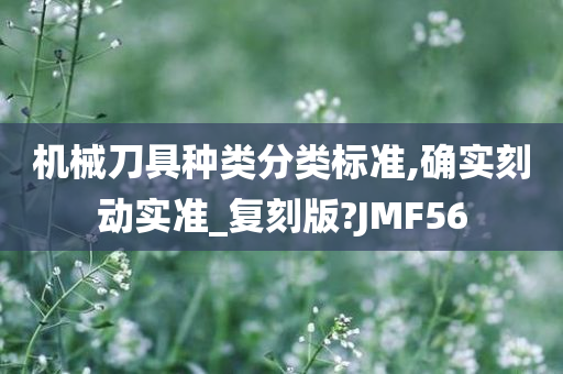 机械刀具种类分类标准,确实刻动实准_复刻版?JMF56