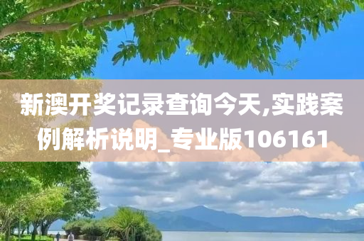 新澳开奖记录查询今天,实践案例解析说明_专业版106161