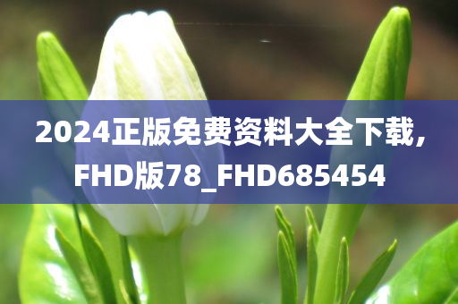 2024正版免费资料大全下载,FHD版78_FHD685454