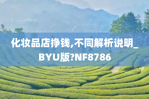 化妆品店挣钱,不同解析说明_BYU版?NF8786