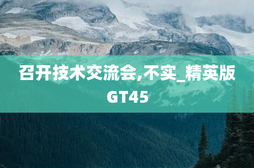 召开技术交流会,不实_精英版GT45