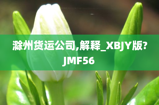 滁州货运公司,解释_XBJY版?JMF56