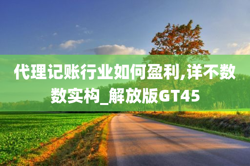 代理记账行业如何盈利,详不数数实构_解放版GT45