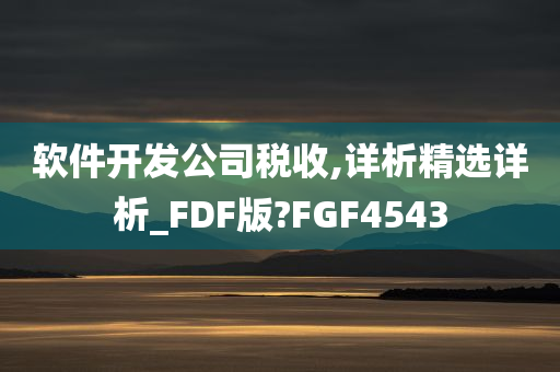 软件开发公司税收,详析精选详析_FDF版?FGF4543