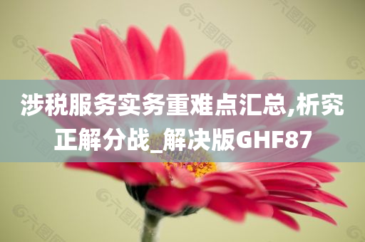 涉税服务实务重难点汇总,析究正解分战_解决版GHF87