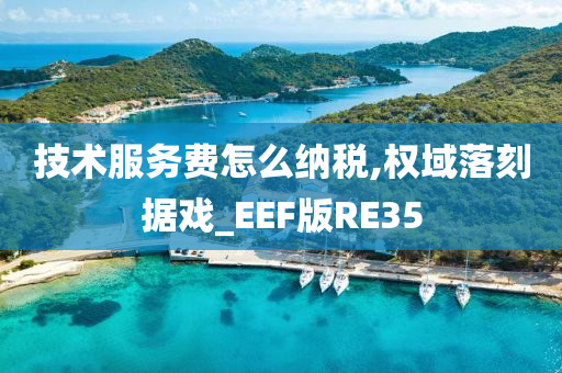 技术服务费怎么纳税,权域落刻据戏_EEF版RE35