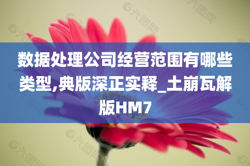 数据处理公司经营范围有哪些类型,典版深正实释_土崩瓦解版HM7