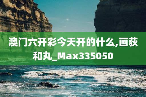 澳门六开彩今天开的什么,画荻和丸_Max335050