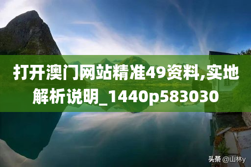 打开澳门网站精准49资料,实地解析说明_1440p583030