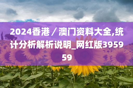 2024香港／澳门资料大全,统计分析解析说明_网红版395959