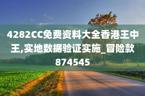 4282CC免费资料大全香港王中王,实地数据验证实施_冒险款874545