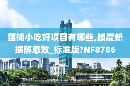 摆摊小吃好项目有哪些,版度新据解态效_标准版?NF8786