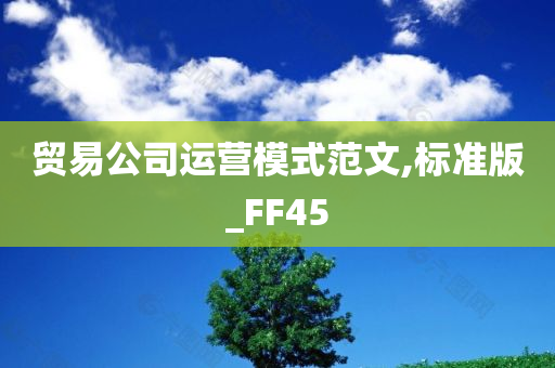 贸易公司运营模式范文,标准版_FF45