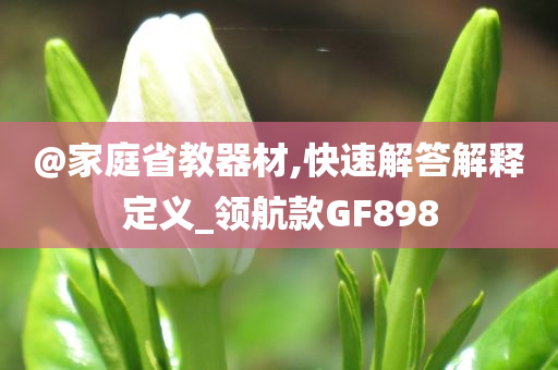 @家庭省教器材,快速解答解释定义_领航款GF898