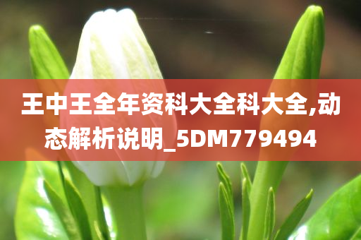 王中王全年资科大全科大全,动态解析说明_5DM779494